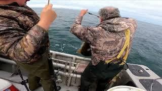Alaska 2023 - Halibut Fishing - Paul Bradshaw