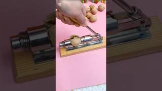 Tool Trove - New Year must-have: effortless nutcracker!#shorts #TrendingNow #Viral #youtubeshorts