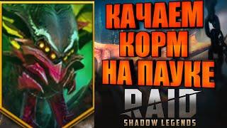 Качаем корм на пауке, Мордекай/Игнат и тд. RAID: Shadow Legends