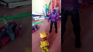 собака какает в туалете