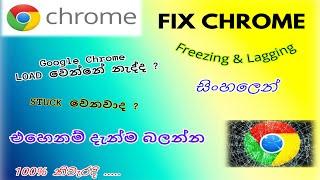 How to Fix Chrome Keeps Freezing and Lagging Issue | Sinhala