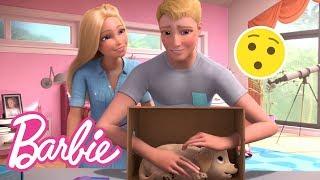 @Barbie | What’s In The Box Challenge REMATCH! | Barbie Vlogs