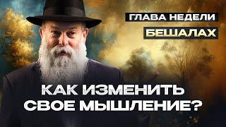 Как научиться радоваться всему? Глава недели Бешалах. Рав. Шмуэль Каминецкий