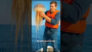 Catching jellyfish #facts #viral