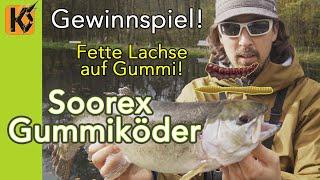 Angeln auf Lachsforellen mit Soorex Pro Gummiködern - Forellenangeln mit Gummiködern - Troutarea