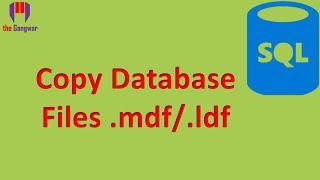 How to copy .mdf and .ldf files | Can't copy sql database | Unable to copy .mdf/.ldf files