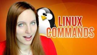 Linux Commands 101 : wget - Download ALL THE THINGS!