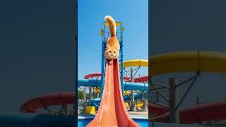 Cat sliding from very high watertube! So cute!
