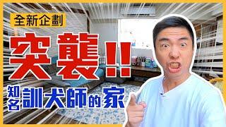 【全新企劃】突襲知名訓犬師的家！竟然遇到他的小三！？解決狗狗護食問題｜熊爸到你家EP.2