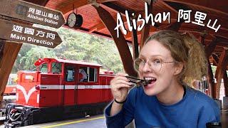 Alishan: Kinda Disappointing, But Still Worth It [Journey to Alishan Part 2]