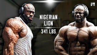 ENORMOUS FOR MR. OLYMPIA - THE NIGERIAN LION AT 341 LBS - SAMSON DAUDA MOTIVATION