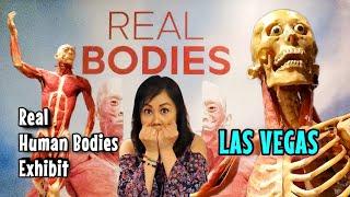 Inside the Creepiest Exhibit in Las Vegas | Real Bodies at Horseshoe Las Vegas