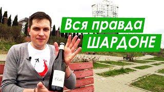 Шардоне. Рассказываем всё про вино шардоне. Chardonnay wine.  Сорт винограда Шардоне.