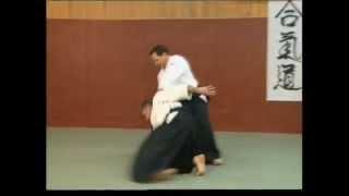 Aikido - Irimi nage