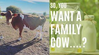 So, You Want a Family Cow? | What to Consider Before Committing