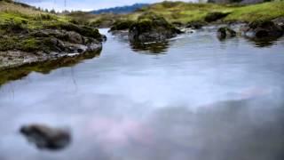 Om Shanti Om: A Meditation on Water by Hamid Shibata Bennett