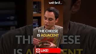 Sandwich Science Sheldon Style The Big Bang Theory  #Sandwich #Fail #funny #tbbt