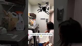 Spider prank #funnyvideo #funny #funnyprank #scare #haha #scarecam #fyp #viralvideo