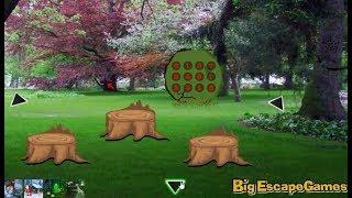 Big Tree Land Escape walkthrough Bigescapegames.