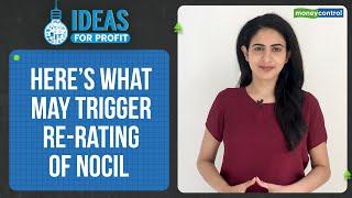 Why Q1 Underperformer NOCIL Can Be A Re-Rating Candidate | Ideas For Profit