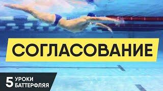 КАК ЛЕГКО И КРАСИВО ПЛАВАТЬ БАТТЕРФЛЯЕМ? УРОК 5. УРОКИ БАТТЕРФЛЯЯ @ Swimmate.ru