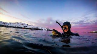 Spearfishing in Norway - HITRA, HARAMSØY, SMØLA, KVITSØY, HELGELANDSKYSTEN, EIDANGERFJORDEN