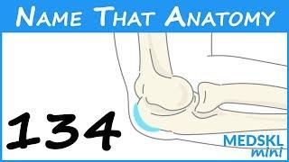 Name That Anatomy - Episode 134