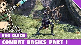 ESO Combat Basics for Beginners - Elder Scrolls Online, how to block, bash, interrupt and more!