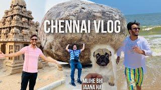 Chennai Vlog (The Beauty Of South India) Marina Beach | Best Places In Chennai | South India Vlog