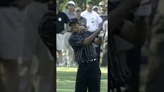 Tiger vs. Rock, '99 TOUR Championship