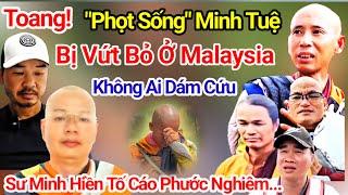  Toang! Sư Minh Tuệ Bị Bỏ Rơi Ở Malaysia Không Ai Dám Quay Lại Cứu, Sư Minh Hiền Cầu Cứu AChan Báu