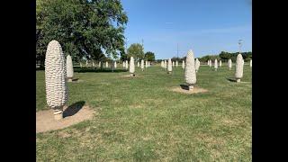 Field of Corn (Dublin Ohio)