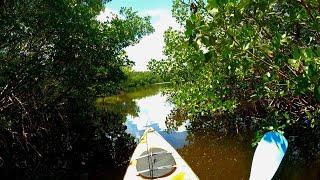 Finally Figured Them Out... // Florida Backcountry Fishing