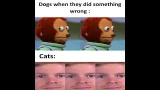 Funny Relatable Memes | Daily Memes Compilation 22 #Shorts #Memes #Funnymemes | N1 Memer