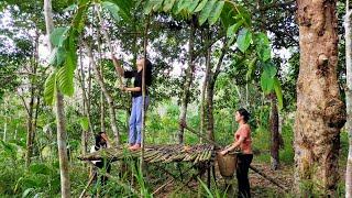 Gadis Dayak || Ternyata Buah ini bisa diolah menjadi Rujak