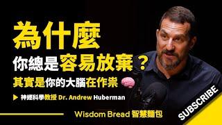 爲什麼你總是容易放棄？ ► 其實是你的大腦在作祟 - Dr. Andrew Huberman 安德魯．胡伯曼博士（中英字幕）