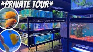 Is this the BEST FISH STORE in THE WORLD?!! *Tour*