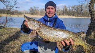 Підсумки з вагою ЩУКИ!