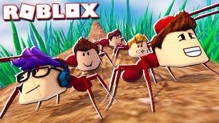 Roblox Adventures - WHAT IF THE PALS WERE ANTS IN ROBLOX!? (Ant Simulator Roblox)