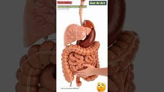 Digestive System Animation | Gut AI Art | 237
