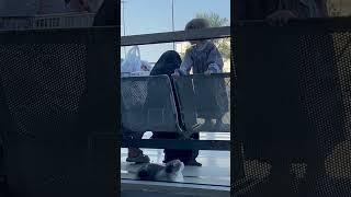 Cute baby playing with cat #makkahmadeenah