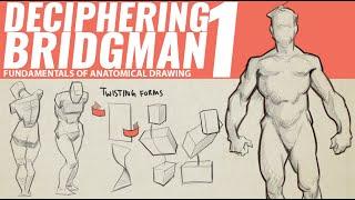 DECIPHERING BRIDGMAN'S ANATOMY 1