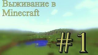 Выживание в Minecraft №1