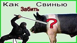 Как правильно забить свинью Жизнь в деревне How to properly slaughter a pig Village life