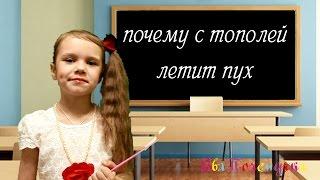 ЕваПочемучка  - почему с тополей летит пух