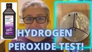 Hydrogen Peroxide as a Disinfectant: Did it kill bacteria in my home?  Viewer Suggested Content!