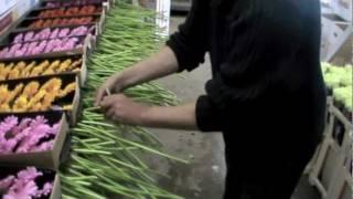 Summer Wedding Flowers Ireland Part 1