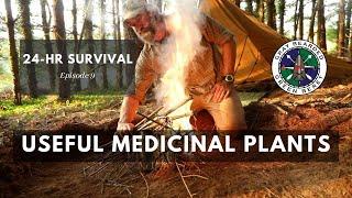 Useful Medicinal Plants for Emergency Use (24 Hour Survival Ch. 9) | Gray Bearded Green Beret