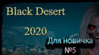 Гайд для новичка №5 в Black Desert 2020