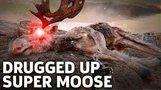 Far Cry 5 in 4K - The Judge Moose Mission Gameplay